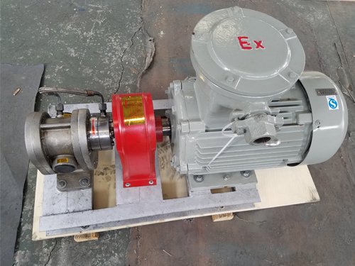 2CY不銹鋼齒輪泵-不銹鋼齒輪泵