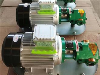 WCB50手提泵-便攜式齒輪泵