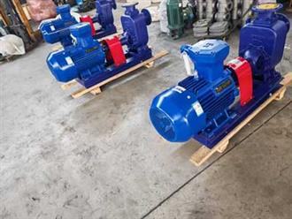 100CYZ自吸離心泵