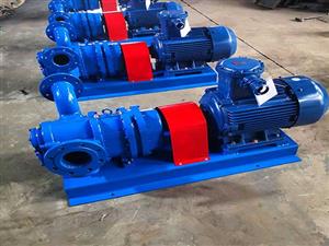 浙江轉(zhuǎn)子泵