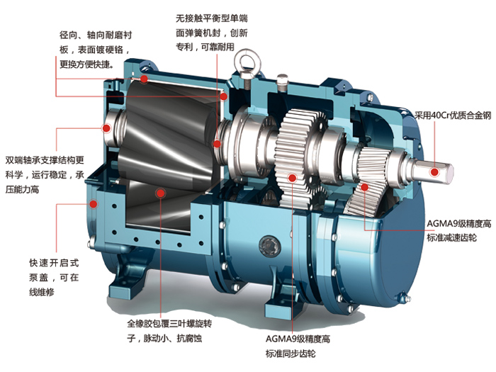 凸輪轉(zhuǎn)子泵的內(nèi)部結(jié)構(gòu)剖面圖