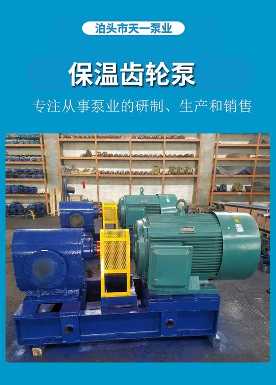 <strong>浙江保溫齒輪泵</strong>