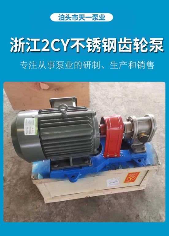 <strong>浙江2CY不銹鋼齒輪泵</strong>