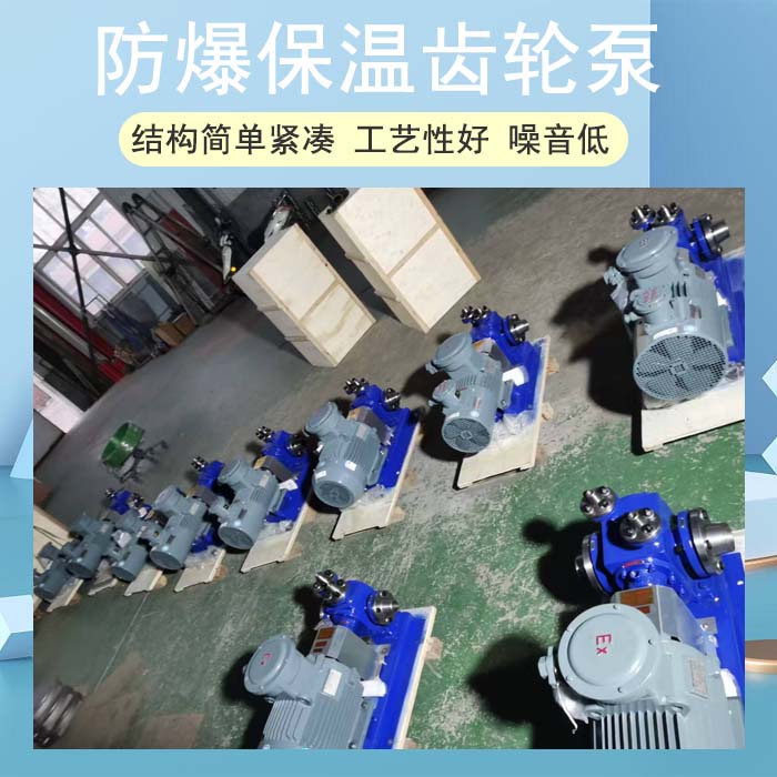 <strong>防爆保溫齒輪泵</strong>
