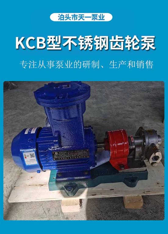<strong>浙江KCB型不銹鋼齒輪泵</strong>