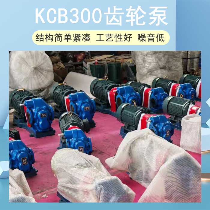<strong>KCB300齒輪泵</strong>