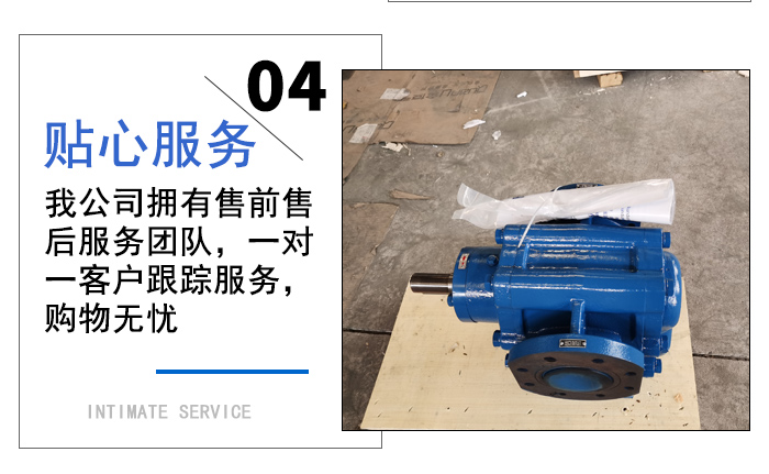 LB633冷凍機(jī)用齒輪泵