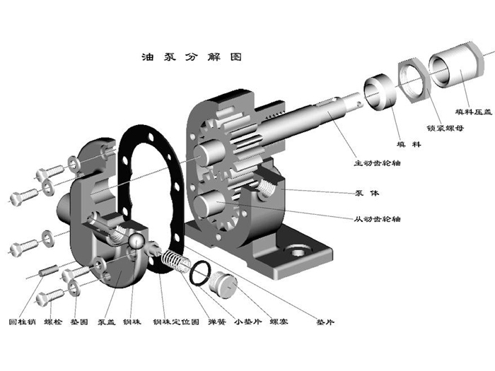 2CY不銹鋼齒輪泵的結構圖