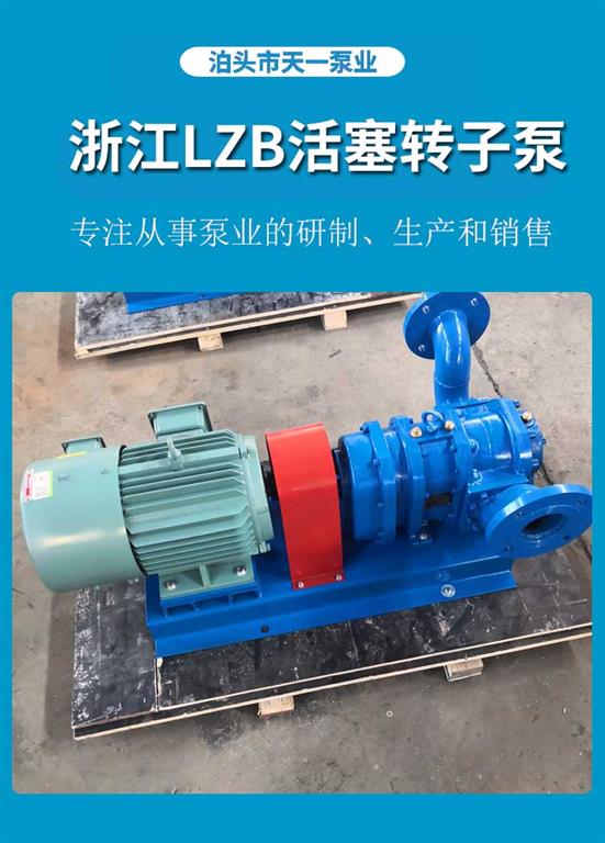<strong>浙江LZB活塞轉(zhuǎn)子泵</strong>